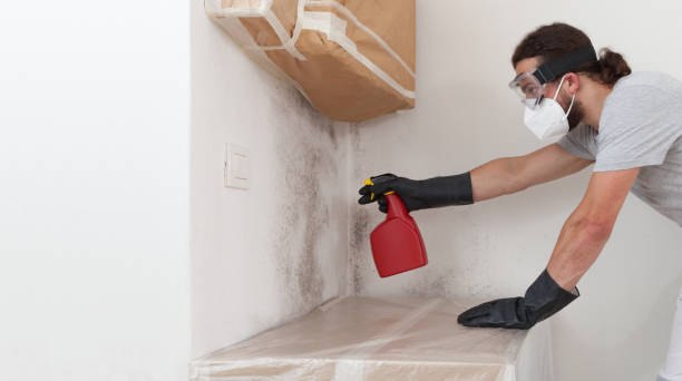 Professional Hvac And Air Duct Mold Remediation technician working in Palisades Park, NJ